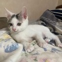 愛情たっぷり育ちました♡さーくん