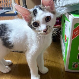 元気いっぱい3兄妹愛情たっぷり♡にーちゃん