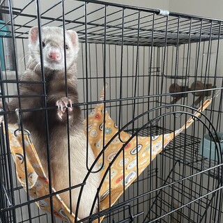 募集終了､ありがとうございました