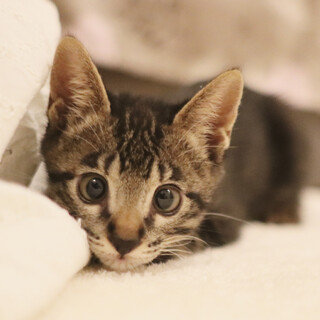 ＼キュートな寄り目／3ヶ月の男の子♪