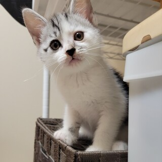 7/9さいたま市岩槻区参加　七海(ななみ）ちゃん