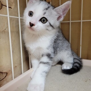 7/9さいたま市岩槻区参加　蛍太(けいた)君