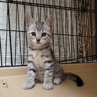 7/23さいたま市参加　夏里奈(かりな）ちゃん