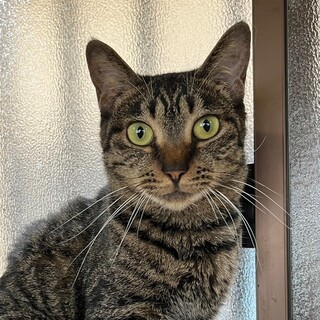 明るく無邪気な女の子♡