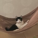ハチワレ　女の子。