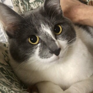 どこもかしこもまーん丸！ ルーフちゃん