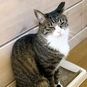 なでなで大好き♡ななちゃん