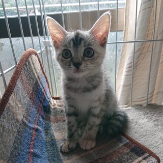 春・穏やかな女の子