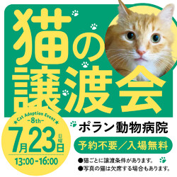 7/23(日)猫の譲渡会