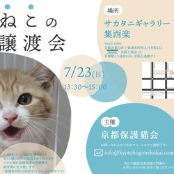 京都　ねこの譲渡会