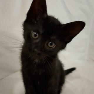 兄妹に優しい♡おぎんちゃん