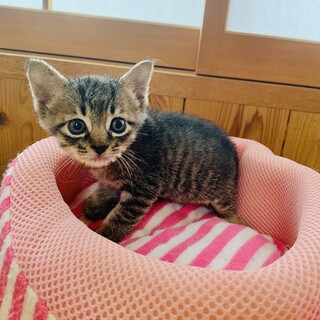 へその緒が付いてました>_<