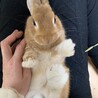 我が家の癒し