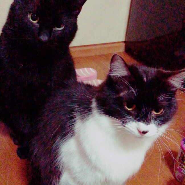 makimiiのカバー写真