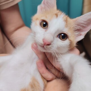 ♡ちゅるんと可愛い『レン君♂』あまあま男子♡