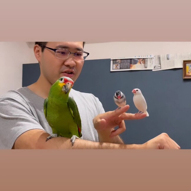 zhixx018のカバー写真