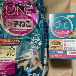 「寄附の子猫用フードが届きました！」サムネイル3