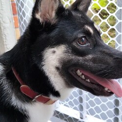 「ベランダをモウモ用に」サムネイル3