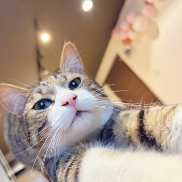の写真