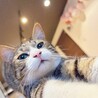 の写真