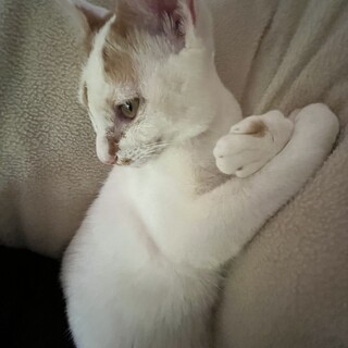 永遠の赤ちゃん　甘えん坊男子♪