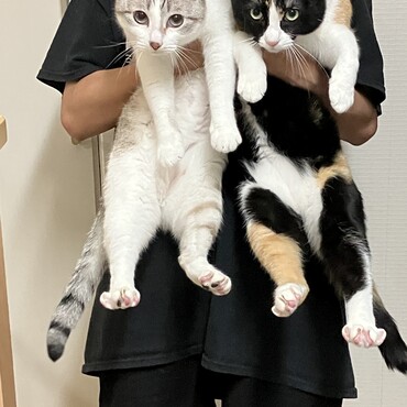 れんちゃんとかりんちゃん