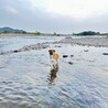 水好きなアポロくん❤️