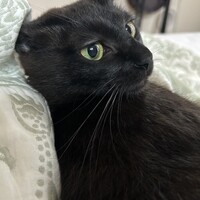 くろむ