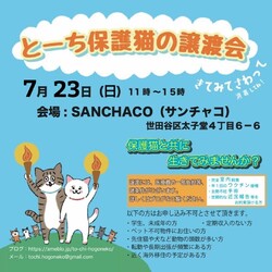 とーち保護猫の譲渡会@三軒茶屋