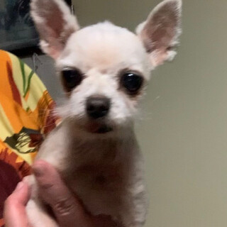 人が大好きとっても明るい幸太くん