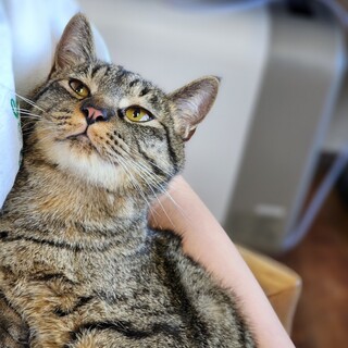 優しいシンバくん♪