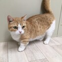 お迎え待ってます