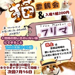 保護猫の里親会 in 京田辺