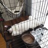 暑い日が続きます
