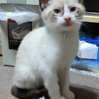 超元気なハチャメチャ女子！