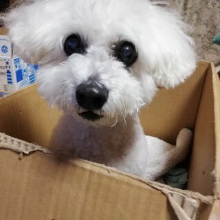 ご応募ありがとうございました。