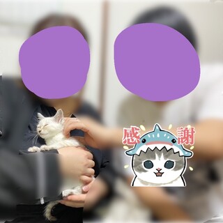 里親決定❣️大人しめのおっとり女の子