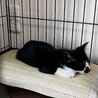 遊び疲れた