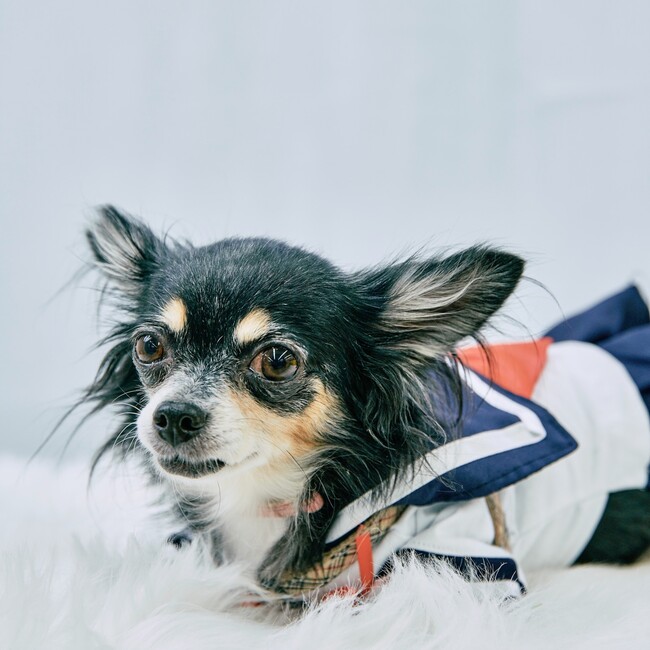 Noa.    のカバー写真