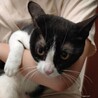 触るのは許可しないけどスリスリしてくるミキちゃん