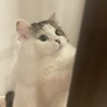どれみちゃんん