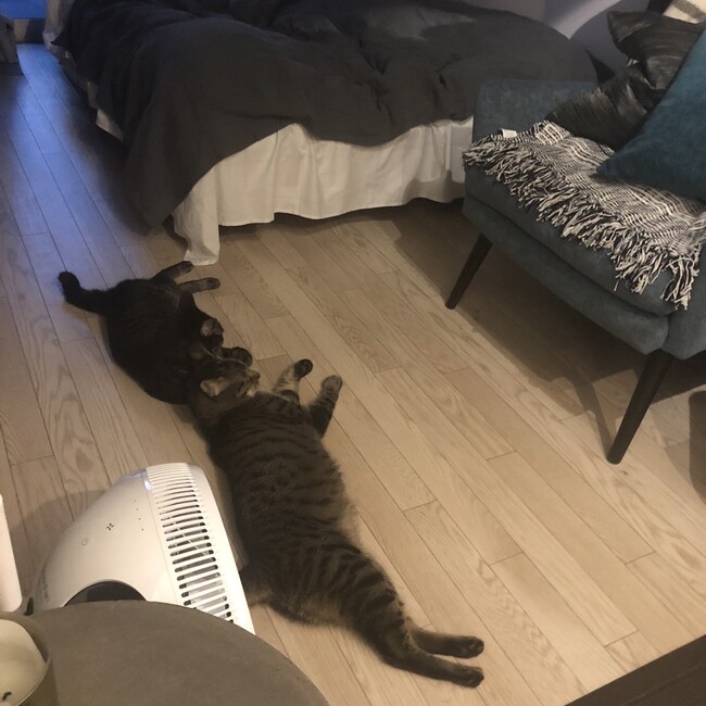 yukiexxのカバー写真