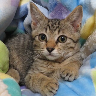 Uとっても美人★こうめちゃん