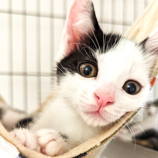 目立たないけどマイペース派 唯我独尊​?!