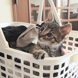  むっちゃ天真爛漫な男の子