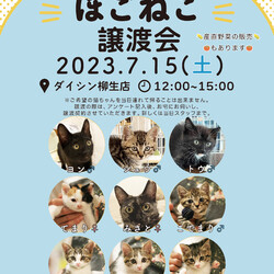 ほごねこ譲渡会　〜愛すべき野良猫の会〜