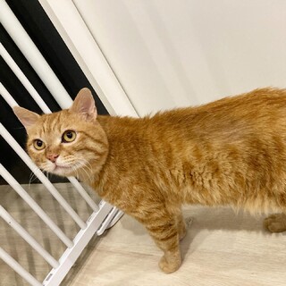 【もちたろう】人が大好きで、食いしん坊な男の子