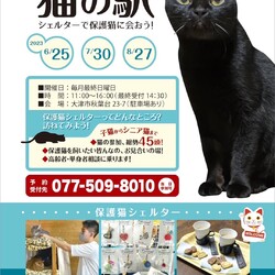 猫の駅～ラブピーキャット譲渡会～ サムネイル1