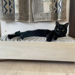 てっちゃん、生誕４年目突入