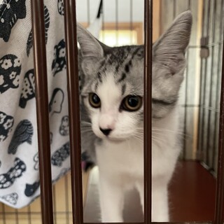 さくらちゃん　5ヶ月女の子